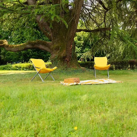 Il Patio Di Carlotta